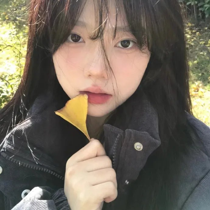 挑战者号